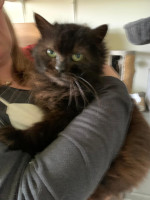 /album/14-03-2026/whatsapp-image-2026-03-13-at-16-35-15-jpeg/